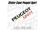 Sticker Toit Peugeot Sport 28x81cm – Stickline Adhésifs