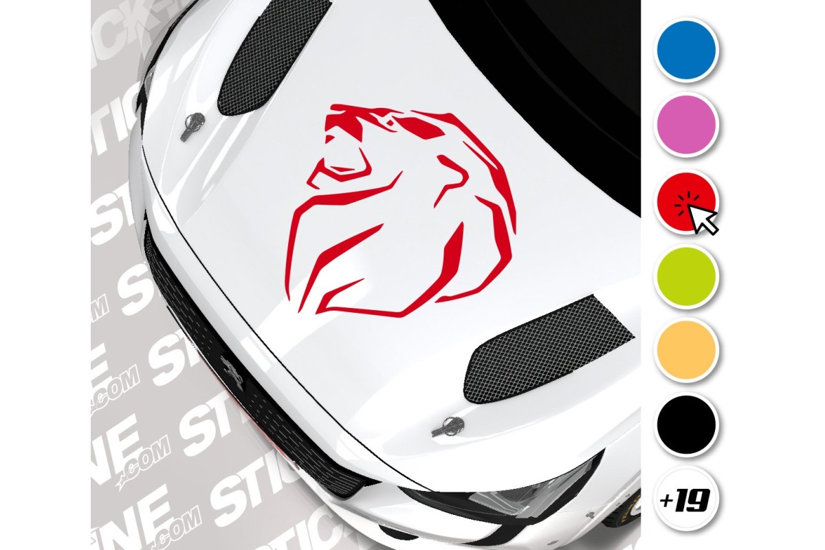 Sticker Toit Peugeot Sport 52x57cm – Stickline Adhésifs
