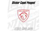 Stickers Toit Peugeot Sport 52x57cm Rouge – Stickline Adhésifs