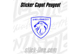 Stickers Toit Peugeot Sport 52x57cm Bleu – Stickline Adhésifs