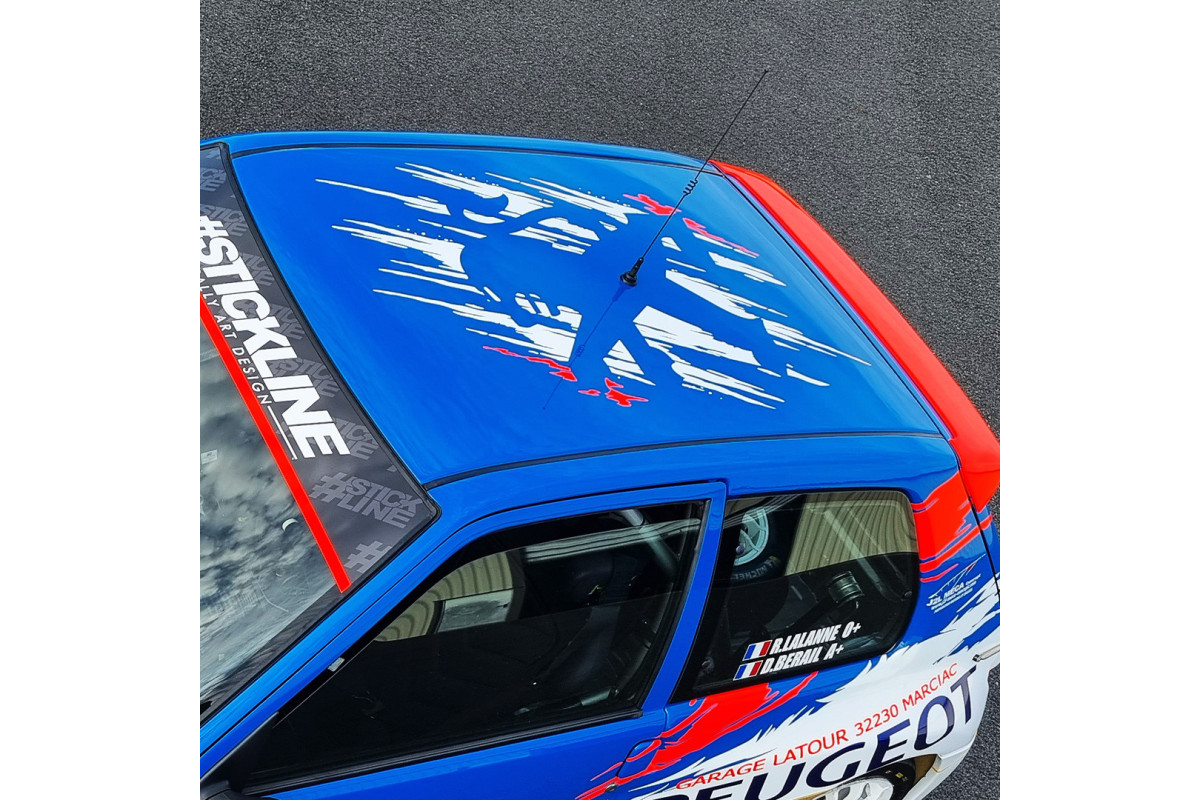 Stickers Toit lion peugeot